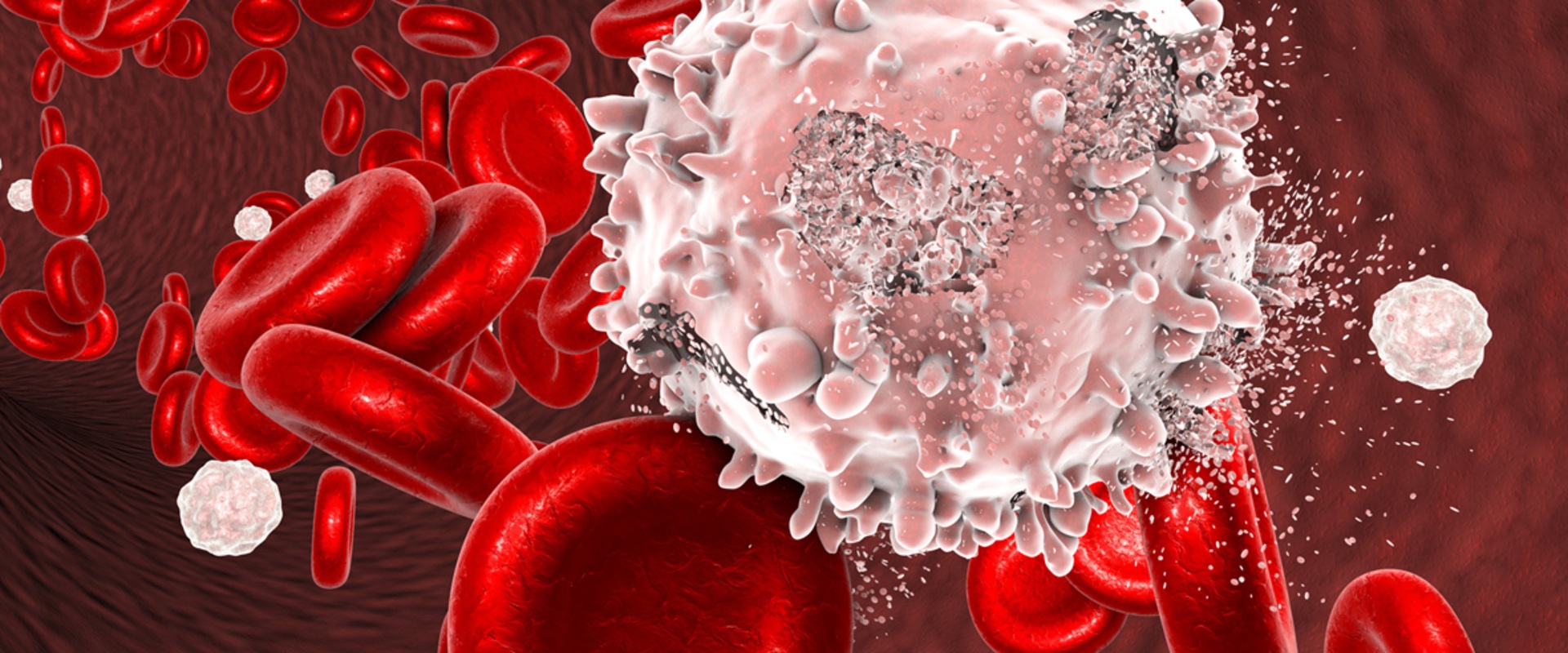 What is Hematology Oncology?