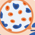 Oncology: A Comprehensive Overview of Cancer Treatment and Care